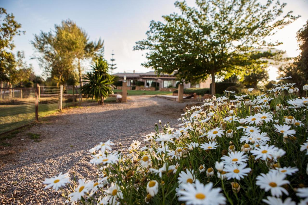 Agroturismo Can Pere Rei Son Serra de Marina Dış mekan fotoğraf