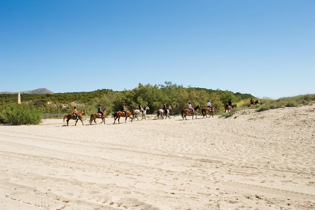 Agroturismo Can Pere Rei Son Serra de Marina Dış mekan fotoğraf